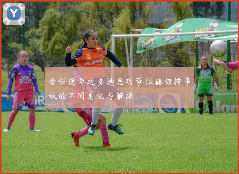 舍伍德与迈克迪恩对萨拉赫假摔争议的不同看法与解读